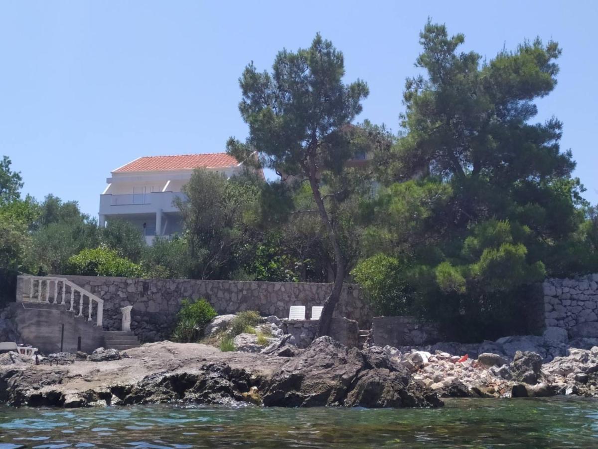 Bjelila Apartmani M&E מראה חיצוני תמונה